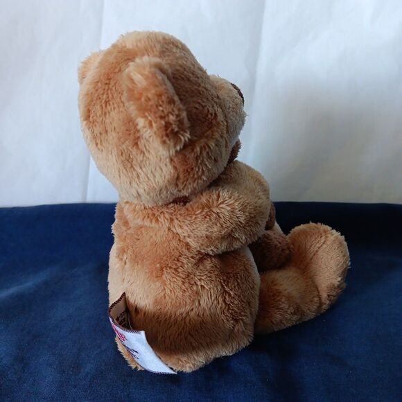 Gund Friends Forever Teddy Plush Sitting Brown Bear Hugging Stuffed Birthday - Picture 3 of 10